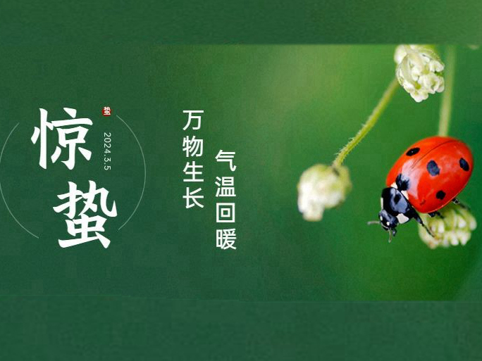 thumb_1709604016758145