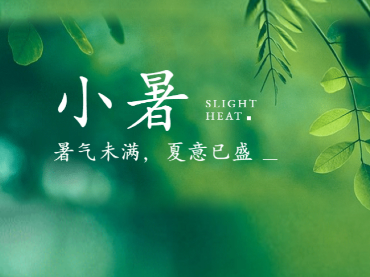 thumb_1720198985612634