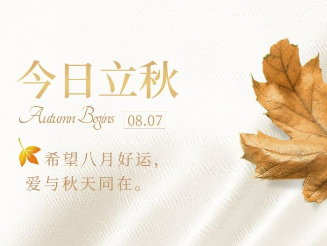 thumb_1722996488935197