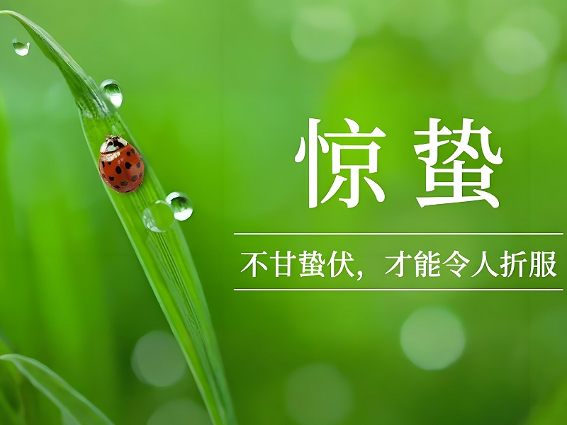 thumb_1741224780161689