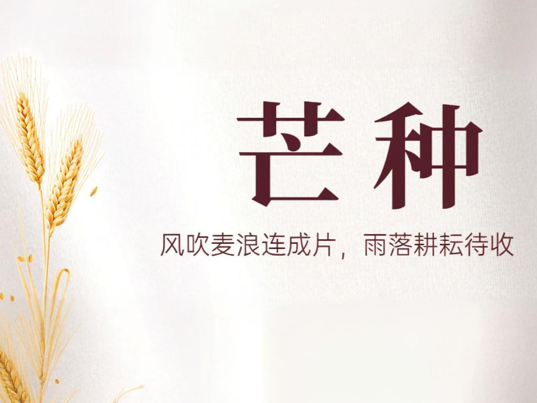 thumb_1749117699333652