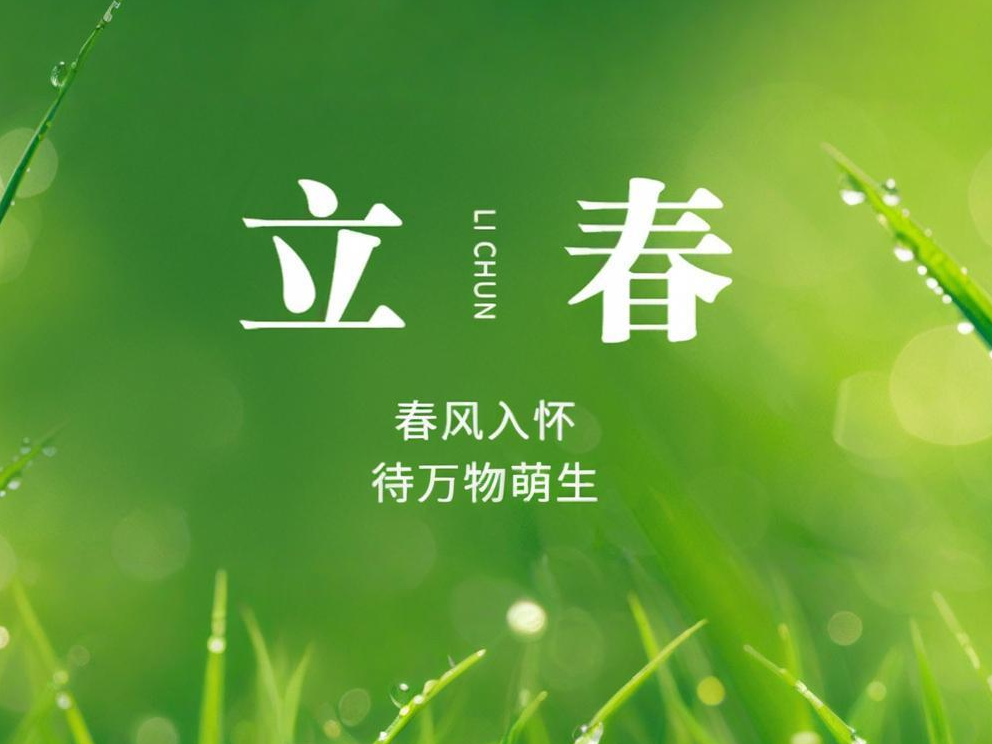 thumb_1770177002923374